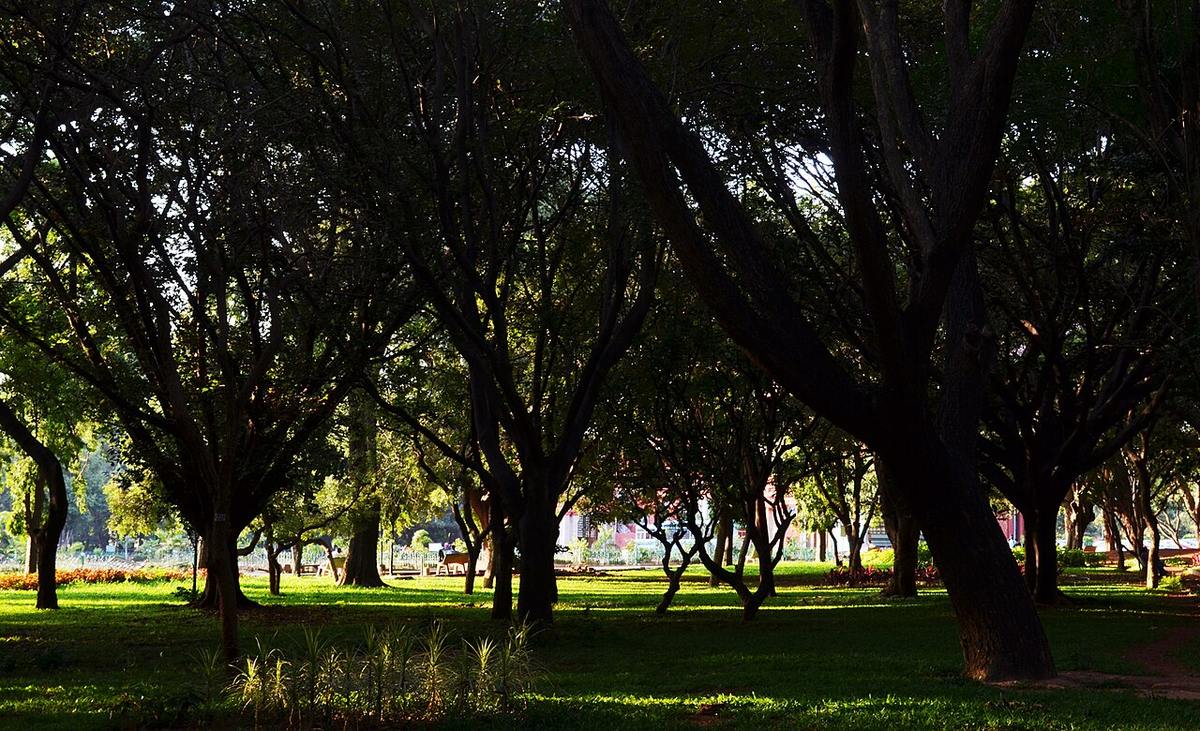 Cubbon Park, Bangalore