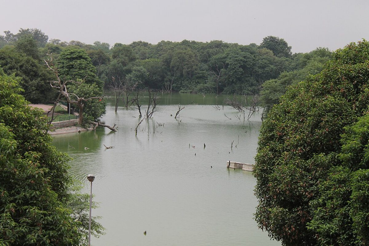 Hauz Khas Fort, Delhi