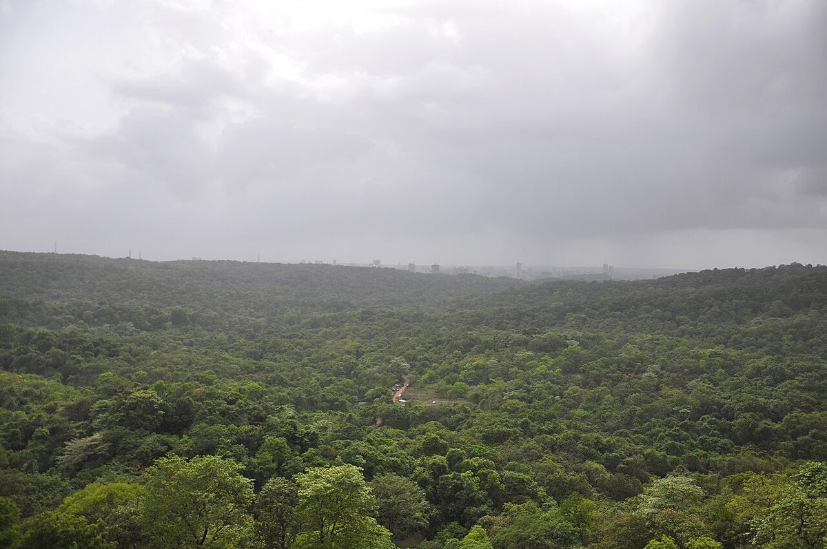 Sanjay Gandhi National Park, Mumbai
